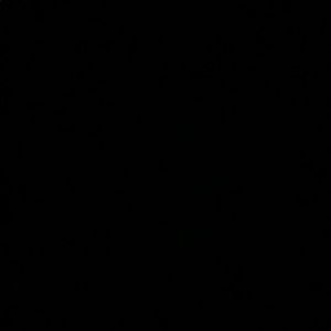 Meet your Posher, Luzviminda